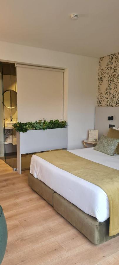 Bed and Breakfast Ribeira House Mirandela Zewnętrze zdjęcie